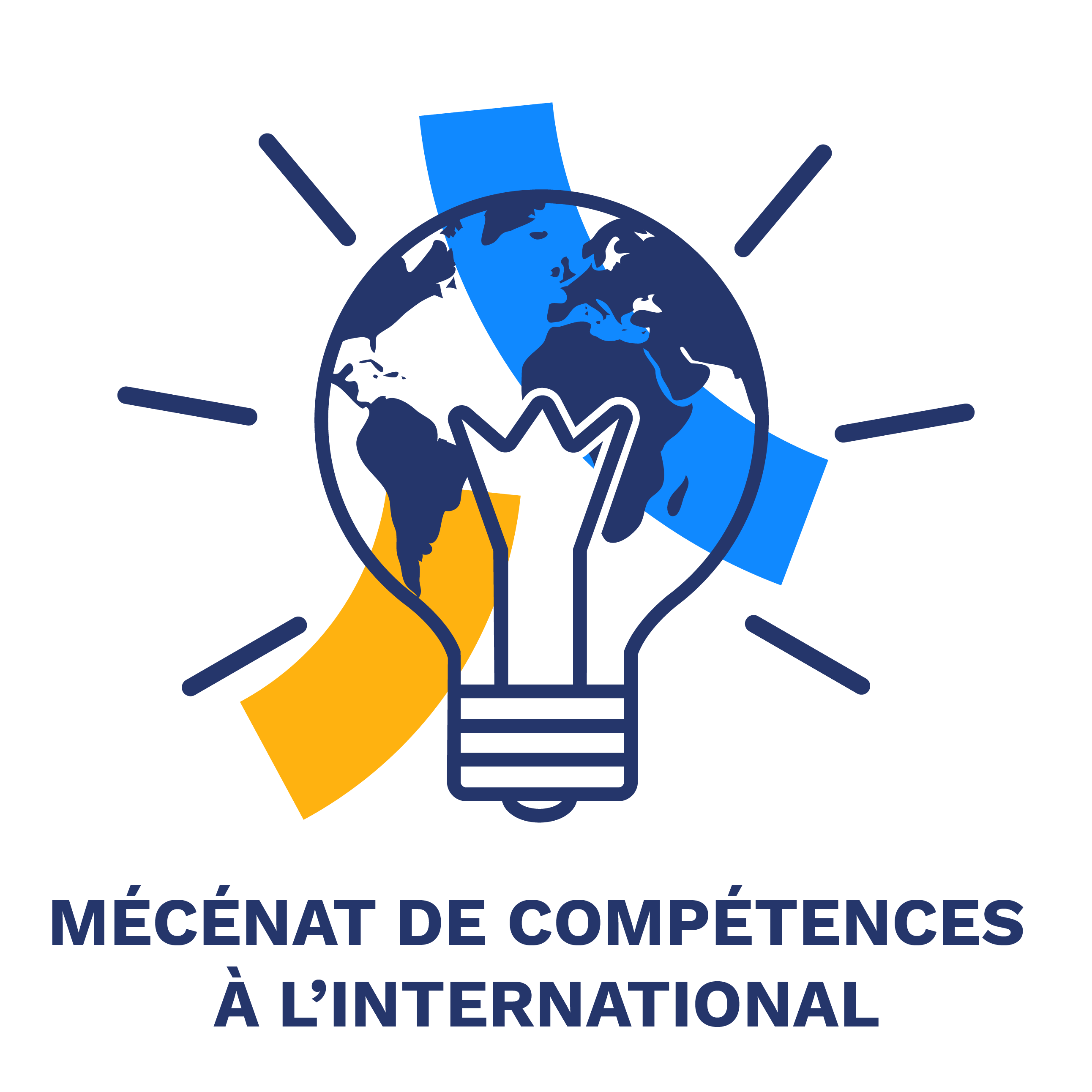 Pictogramme mécénat de compétences à l'international